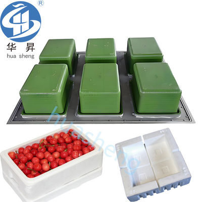 US EPS-Aluminium-Formen für kühlere Fische/Frucht/Eiscreme/Bienenkasten