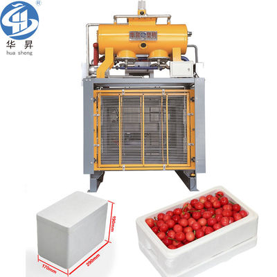 US-Währung EPS-Schaummaschine für die automatische Styroporformung von Polystyrolboxen